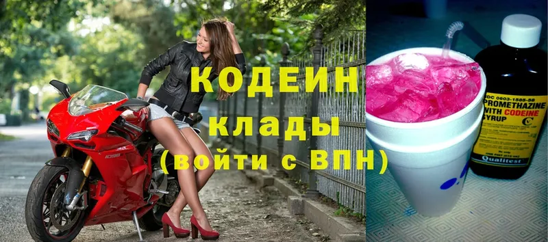 Цена Белая Холуница Псилоцибиновые грибы  КОКАИН 