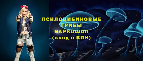 Альфа ПВП Нягань