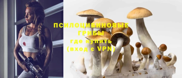 Альфа ПВП Нягань