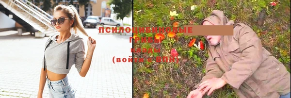бутират Нязепетровск