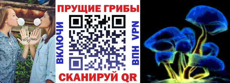 мега как войти  купить  сайты  Белая Холуница  Галлюциногенные грибы ЛСД 